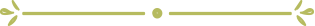 Decorative dotted underline graphic
